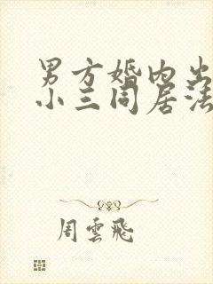 男方婚内出轨与小三同居法律怎么判封面