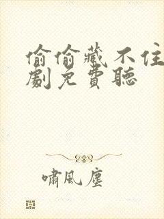 偷偷藏不住广播剧免费听封面