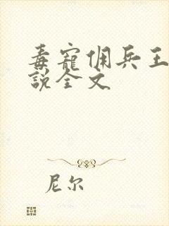 毒宠佣兵王妃小说全文