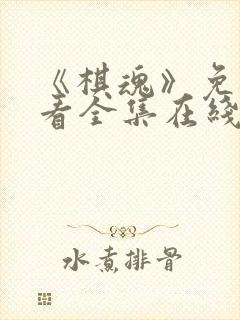 《棋魂》免费观看全集在线观看高清