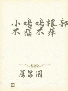 小鸡鸡根部疙瘩不痛不痒