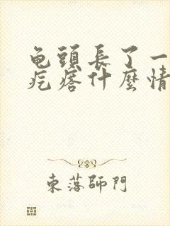 龟头长了一圈小疙瘩什么情况封面