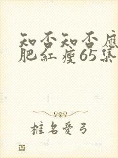 知否知否应是绿肥红瘦65集在线