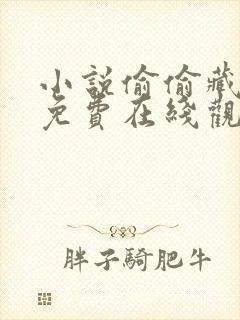 小说偷偷藏不住免费在线观看