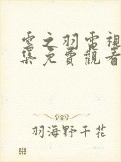 云之羽电视剧全集免费观看