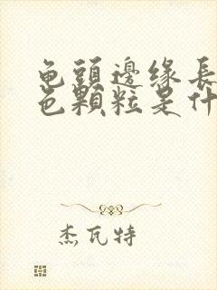 龟头边缘长的白色颗粒是什么