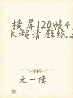 横屏120帧4k超清壁纸无水印