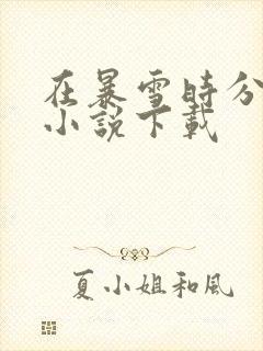 在暴雪时分原著小说下载