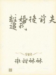 离婚后前夫总想追我