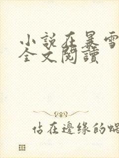小说在暴雪时分全文阅读