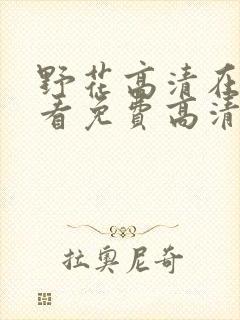 野花高清在线观看免费高清