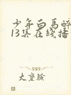 少年白马醉春风13集在线播放