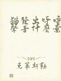 猫发出呼噜噜的声音什么意思封面