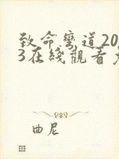 致命弯道2003在线观看免费高清完整版