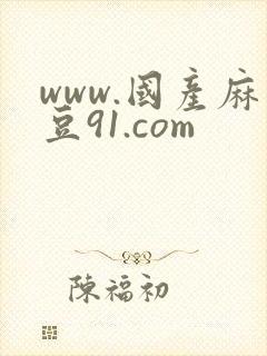 www.国产麻豆91.com