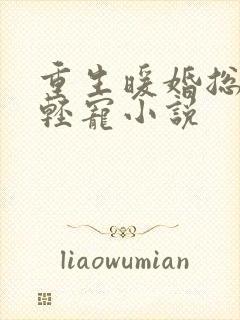重生暖婚总裁轻轻宠小说