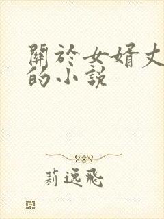 关于女婿丈母娘的小说
