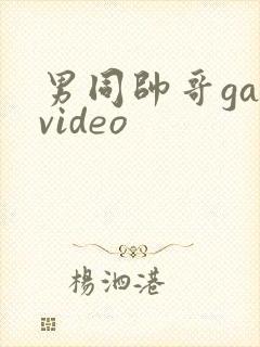 男同帅哥gayvideo