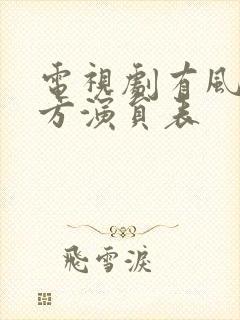 电视剧有风的地方演员表