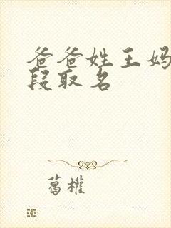 爸爸姓王妈妈姓段取名