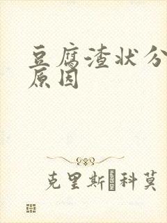 豆腐渣状分泌物原因