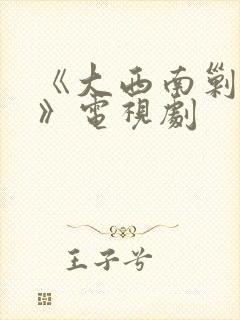 《大西南剿匪记》电视剧