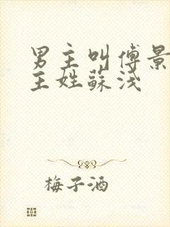 男主叫傅景琛女主姓苏浅