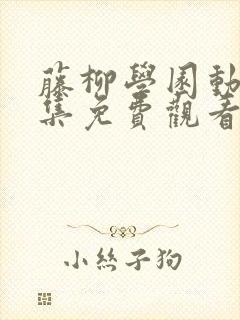 藤柳学园动漫全集免费观看