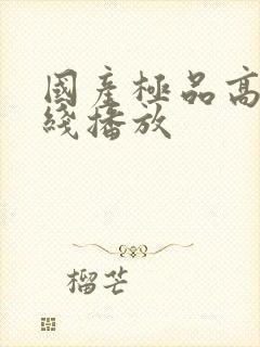 国产极品高清在线播放