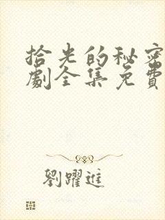 拾光的秘密电视剧全集免费观看