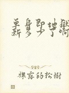 单身即地狱5更新多少了啊