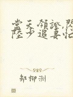 当天领证,闪婚陆少追妻忙免费观看