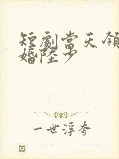 短剧当天领证闪婚陆少