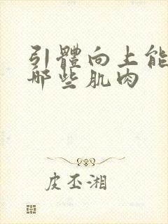 引体向上能练到哪些肌肉封面