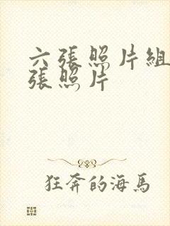 六张照片组合一张照片