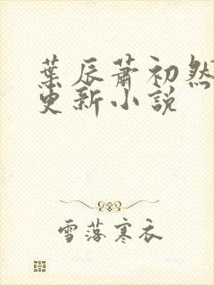 叶辰萧初然最快更新小说