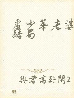 卢少华老婆刘青结局