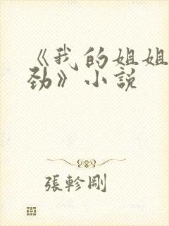 《我的姐姐不对劲》小说封面