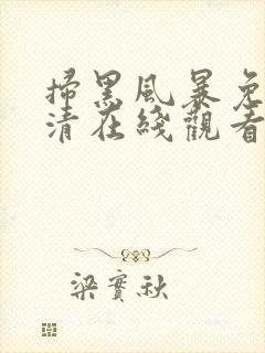 扫黑风暴免费高清在线观看电视剧封面