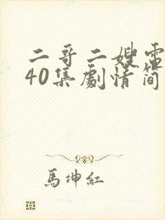 二哥二嫂电视剧40集剧情简介