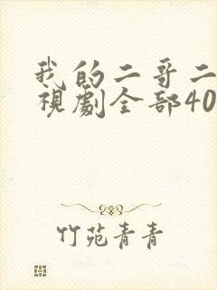 我的二哥二嫂电视剧全部40集封面