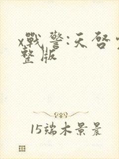 x战警:天启完整版