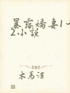 暴露娇妻1～12小说封面