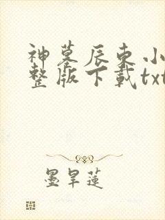 神墓辰东小说完整版下载txt封面