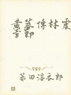 黄蓉传林震最新章节