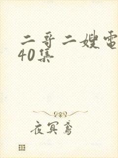 二哥二嫂电视剧40集