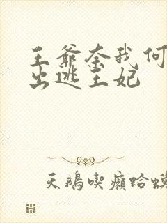 王爷奈我何通缉出逃王妃