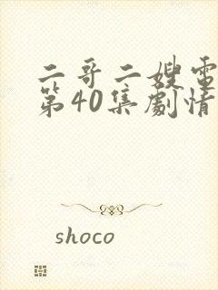 二哥二嫂电视剧第40集剧情封面