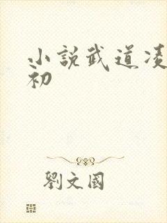 小说武道凌天秦初