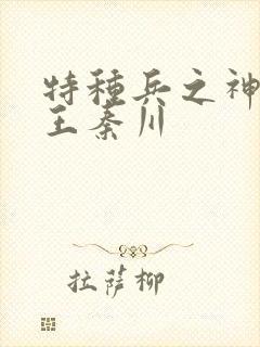 特种兵之神级兵王秦川